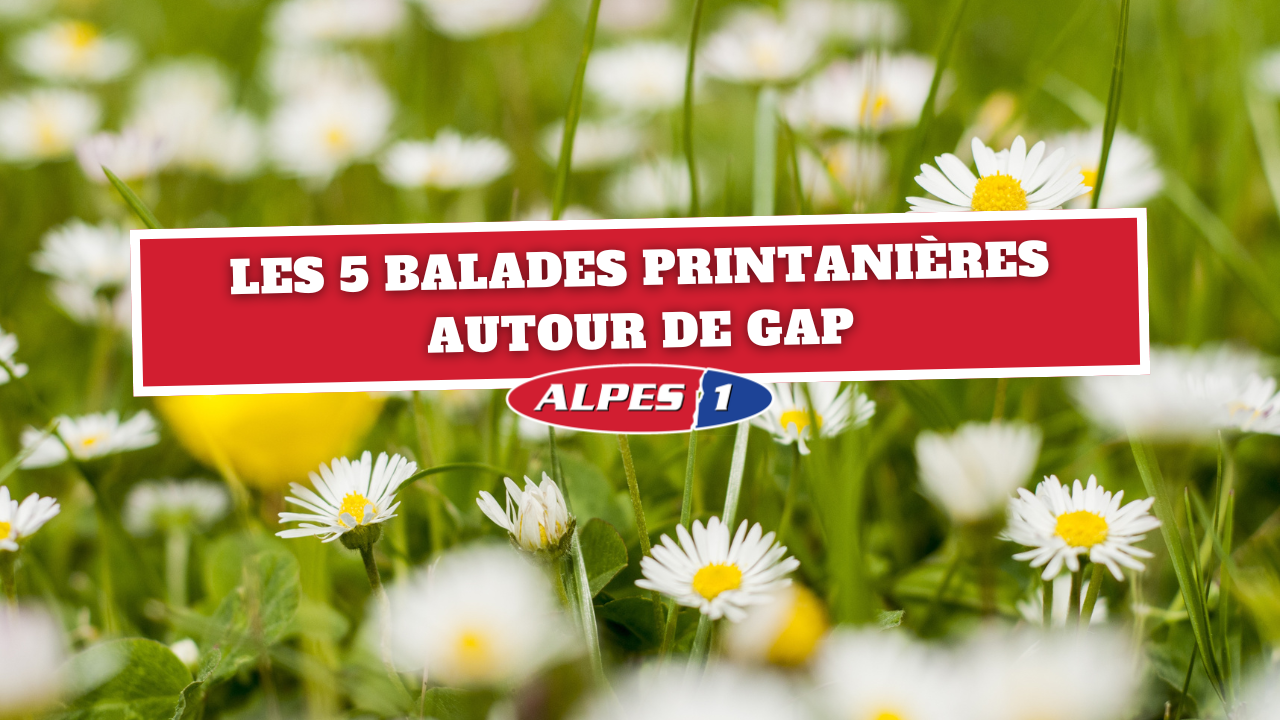 Les 5 balades printanières autour de Gap Les 5 balades printanières autour de Gap
