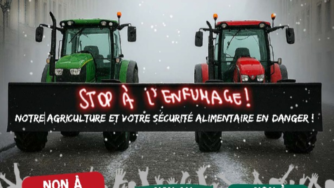 Les agriculteurs se mobiliseront à Bruxelles ce jeudi