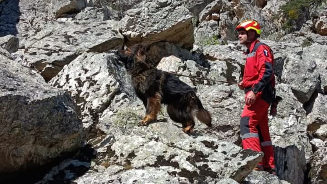 Les équipes cynophiles en exercice grandeur nature dans les Hautes-Alpes