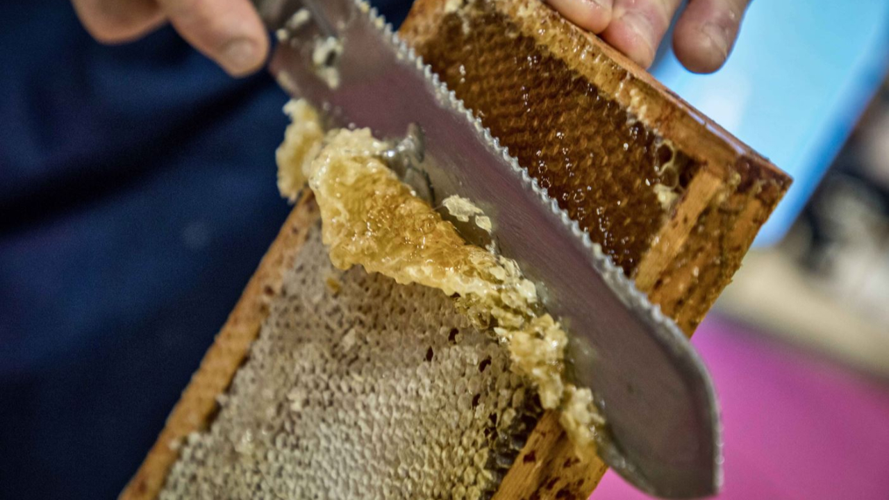 Les miels des Hautes-Alpes ont séduit lors du Concours des Miels de France Les miels des Hautes-Alpes ont séduit lors du Concours des Miels de France