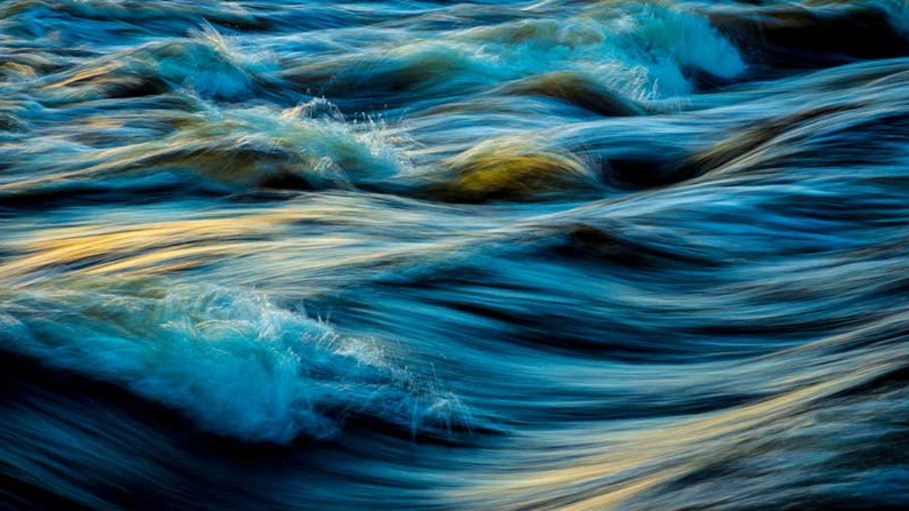 Loi Duplomb, une loi « délibérément écocide » pour la Fédération pour la Pêche Loi Duplomb, une loi « délibérément écocide » pour la Fédération pour la Pêche