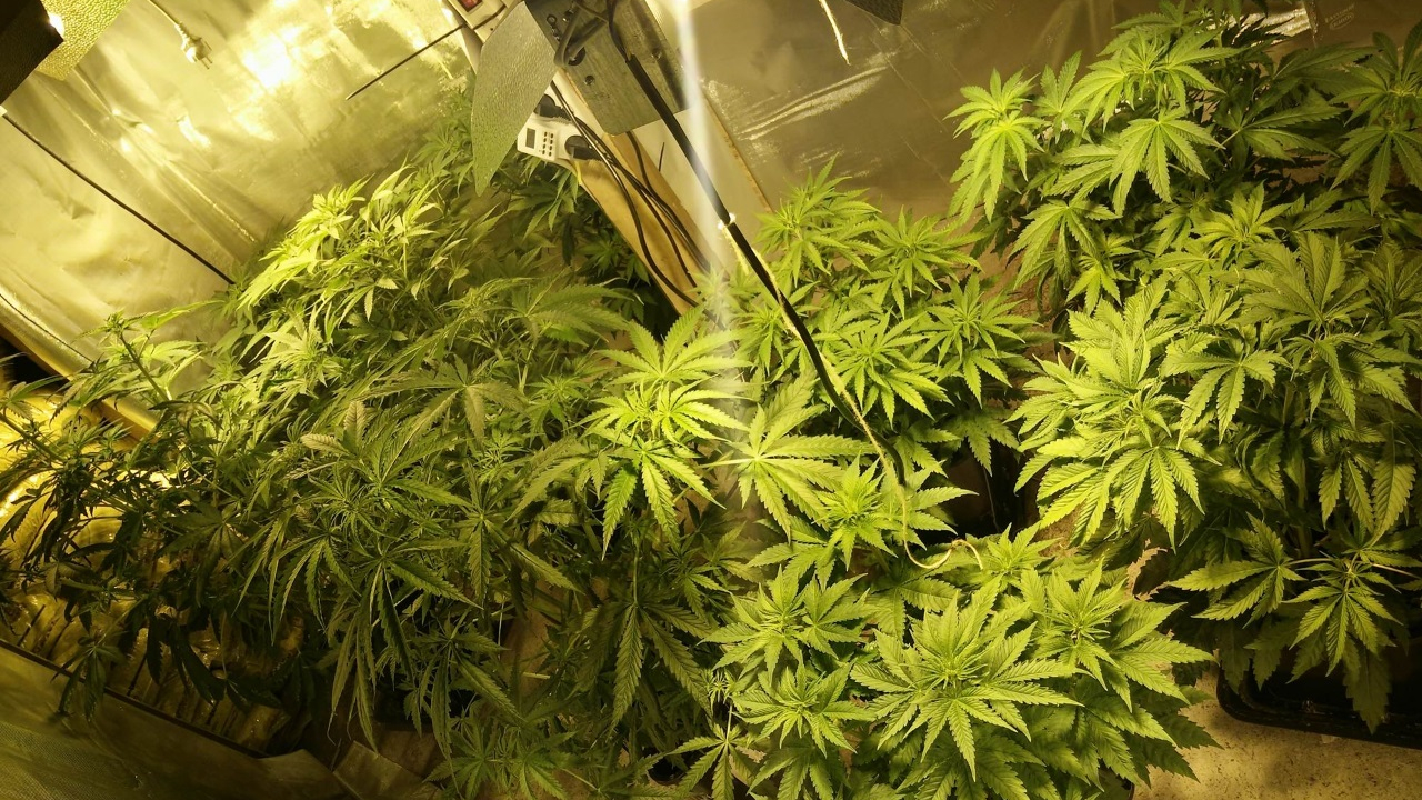 Manosque : leur point de deal leur rapportait 35 000 euros par mois