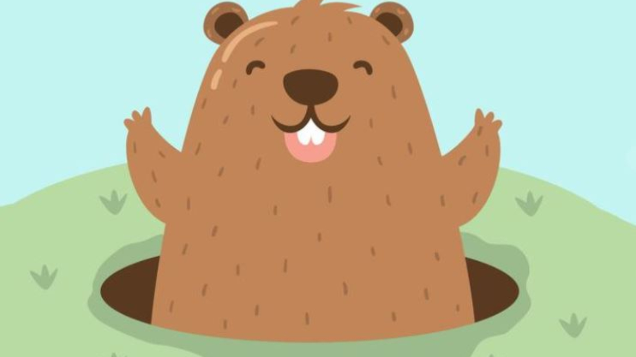 Marmotte Stories de retour au Sauze du 24 au 27 juillet