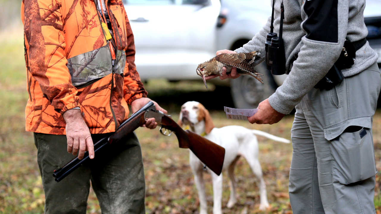 Plus de 80 chasseurs contrôlés dans les Hautes-Alpes lors d’une opération d’envergure