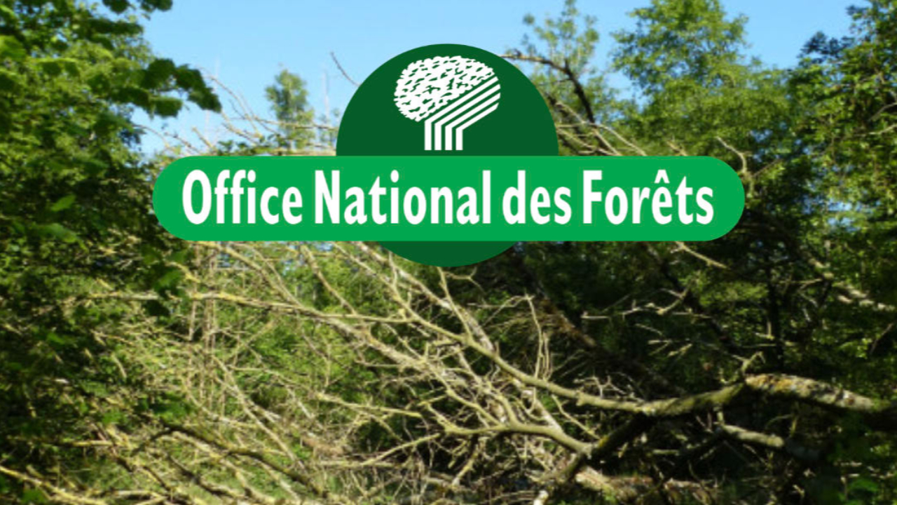 Retour des beaux jours, retour des contrôles de l'ONF en forêt