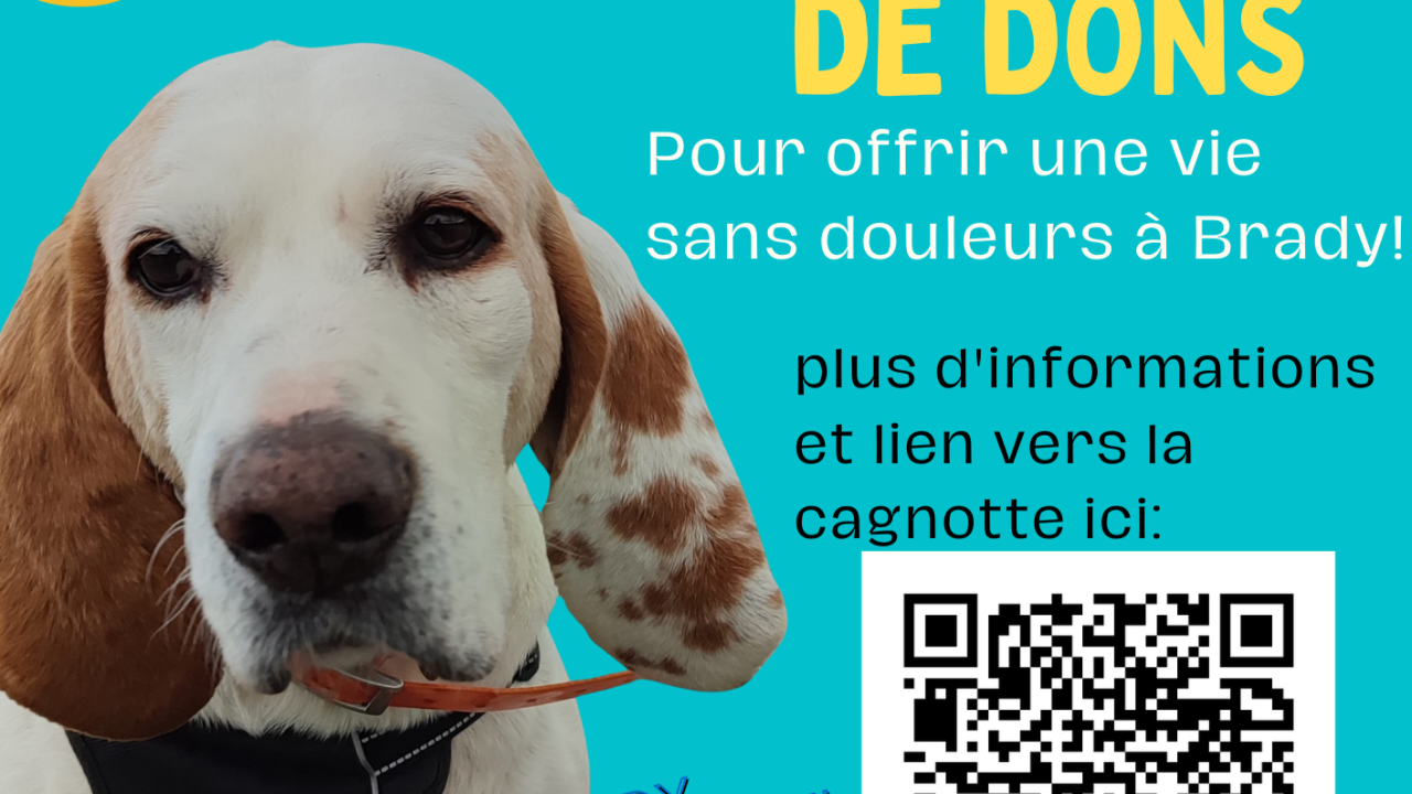 Sisteron-Nice à vélo, en une journée, pour la cause animale Sisteron-Nice à vélo, en une journée, pour la cause animale