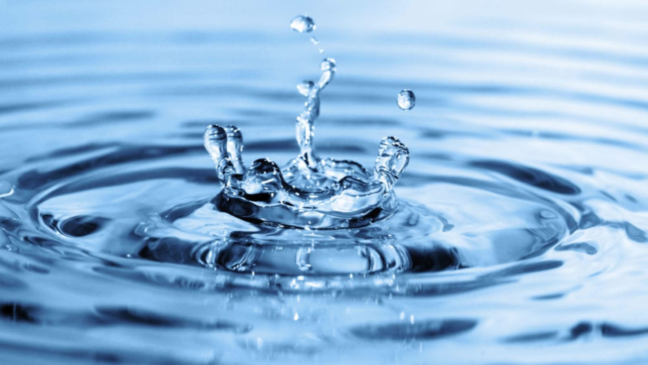 Un atelier citoyen pour « renaturer » Pierrevert