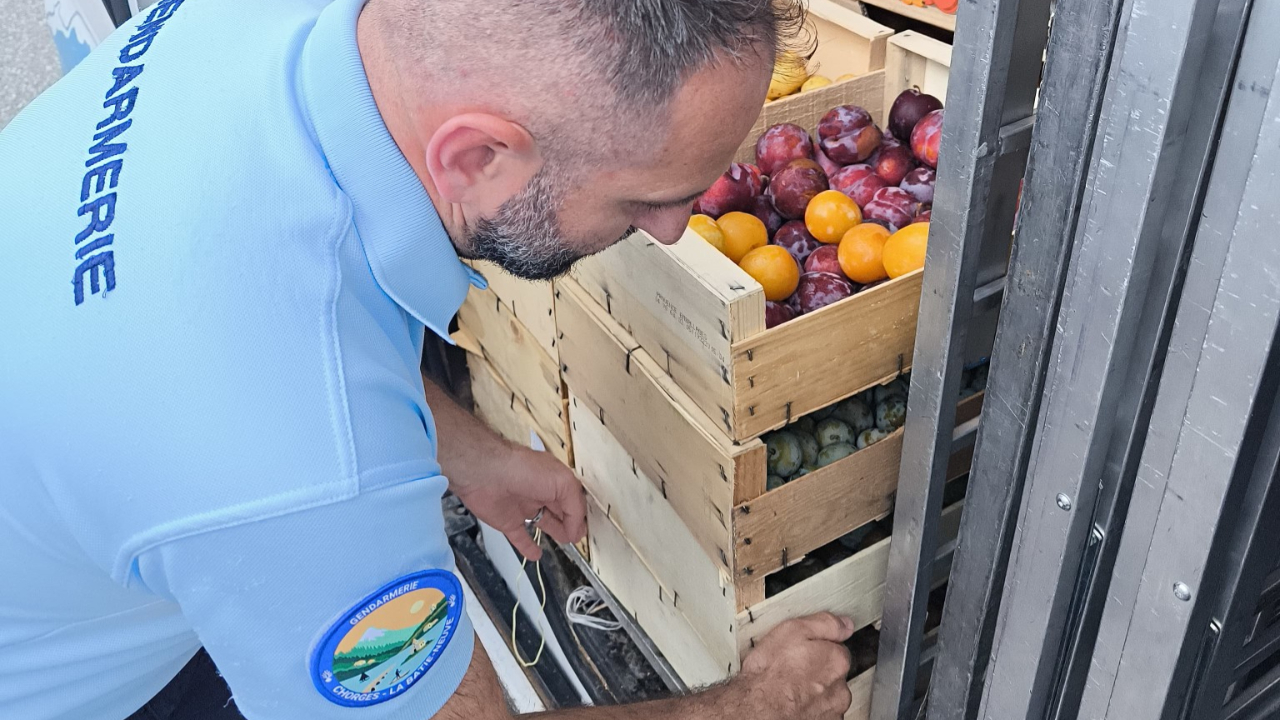 Un contrevenant de la route fait don de sa marchandise à une association de Chorges