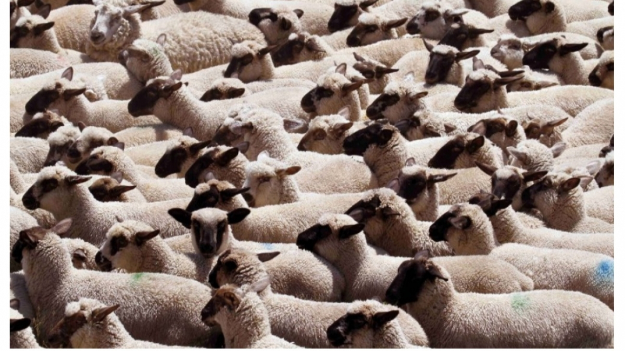 « Un débat honnête et constructif plutôt que des accusations mensongères » « Un débat honnête et constructif plutôt que des accusations mensongères »