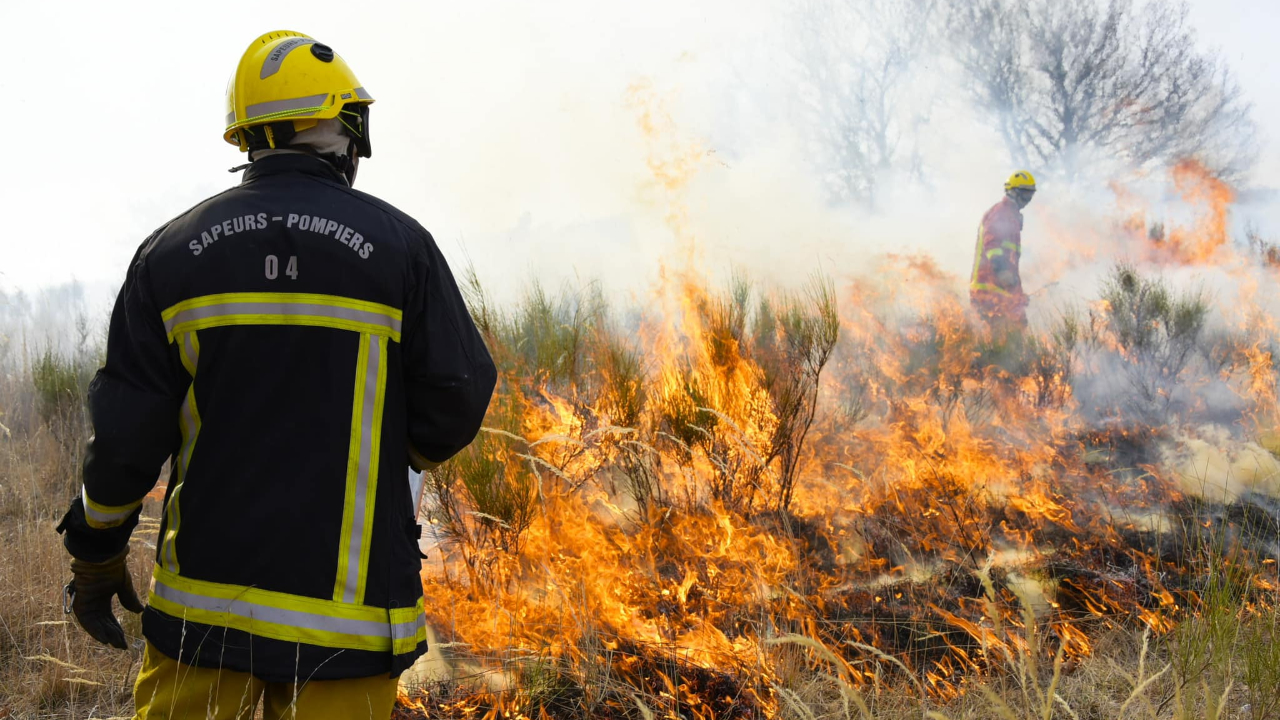 Un hectare de végétation parti en fumée à Niozelles