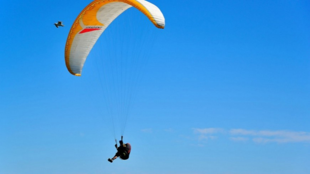 Un parapentiste décède à Puy-Saint-Vincent Un parapentiste décède à Puy-Saint-Vincent