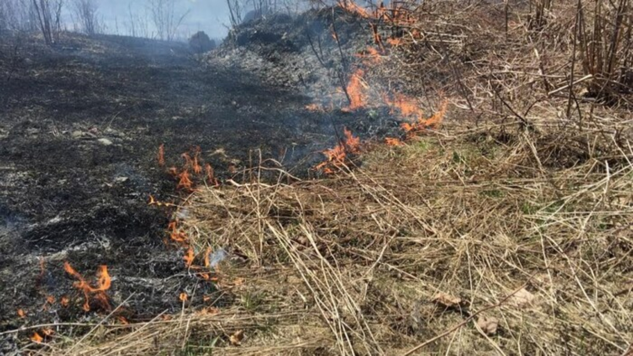 Un pompier pyromane interpellé dans les Alpes de Haute-Provence Un pompier pyromane interpellé dans les Alpes de Haute-Provence