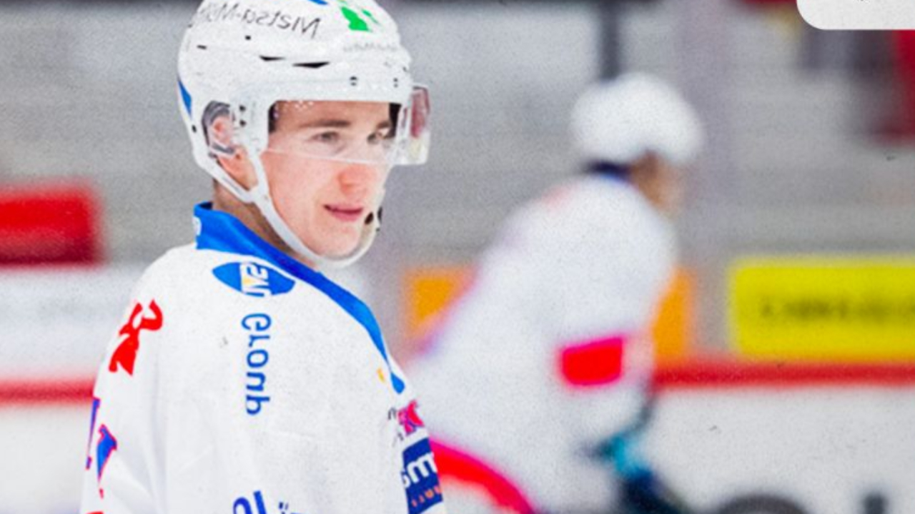 Un renfort en attaque pour les Rapaces Un renfort en attaque pour les Rapaces