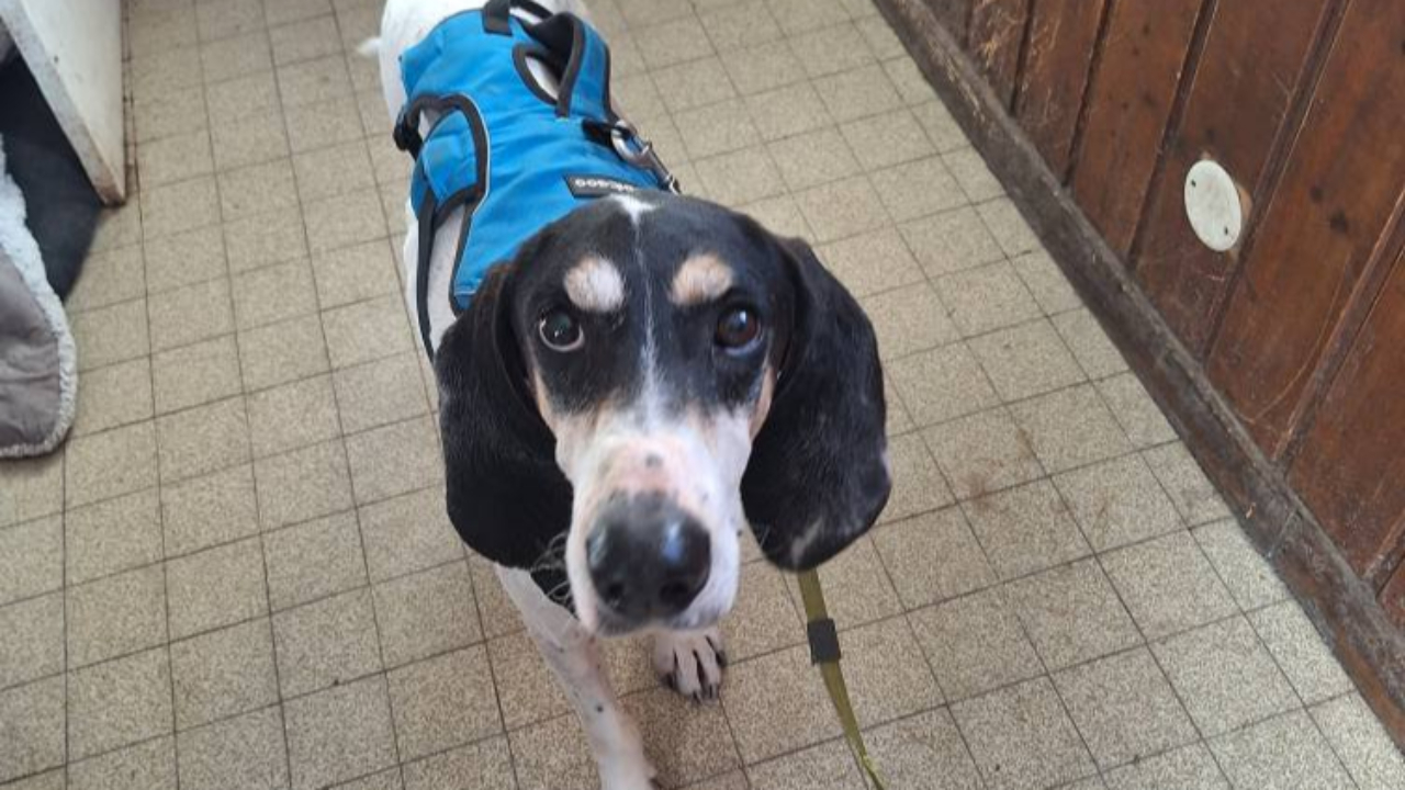 Une situation financière "critique " au refuge d'Embrun