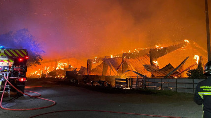 200 agneaux décèdent dans l'incendie de trois hangars agricoles à Rousset
