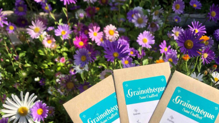 À vos pioches, des nouveautés sont arrivées à la Grainothèque de Saint-Chaffrey