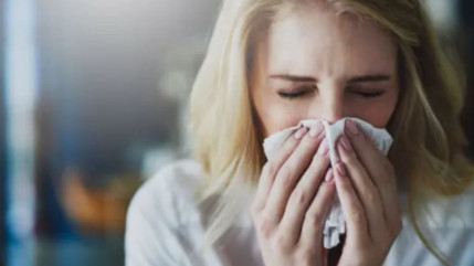 Allergies : Digne les Bains se dote d'une application pour suivre en temps réel les pollens