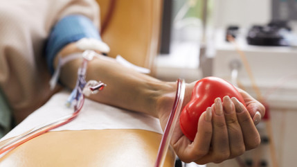 Alpes du Sud : l'EFS appelle à « un sursaut de la population »