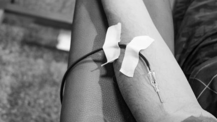 Alpes du sud : le retour des collectes de sang Alpes du sud : le retour des collectes de sang