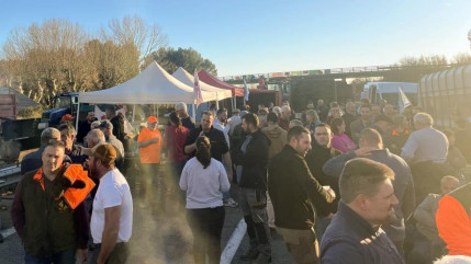 Alpes du Sud : les agriculteurs appellent au soutien de la population Alpes du Sud : les agriculteurs appellent au soutien de la population