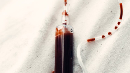 Alpes du Sud : les rendez-vous don du sang de la semaine