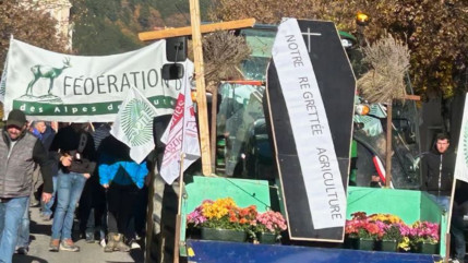 Alpes du Sud : mobilisation agricole, « il y a un sentiment de désespoir » Alpes du Sud : mobilisation agricole, « il y a un sentiment de désespoir »