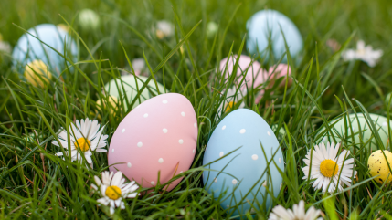 Alpes du Sud : où acheter vos meilleurs chocolats pour Pâques ?
