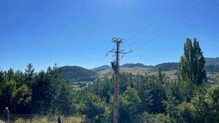 Alpes du Sud : pour protéger les oiseaux, du matériel spécifique sur les lignes électriques de Turriers