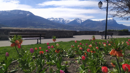 Alpes du Sud : prix spéciaux pour Embrun et Montgenèvre dans le cadre du label Villes et Villages Fleuris Alpes du Sud : prix spéciaux pour Embrun et Montgenèvre dans le cadre du label Villes et Villages Fleuris