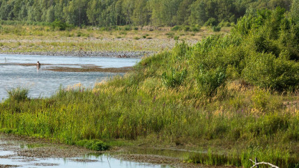 Alpes du Sud : sécheresse, le Vaucluse et les Bouches du Rhône amenés à réduire leur consommation ? Alpes du Sud : sécheresse, le Vaucluse et les Bouches du Rhône amenés à réduire leur consommation ?
