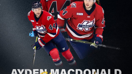 Bienvenue à Ayden Macdonald Bienvenue à Ayden Macdonald