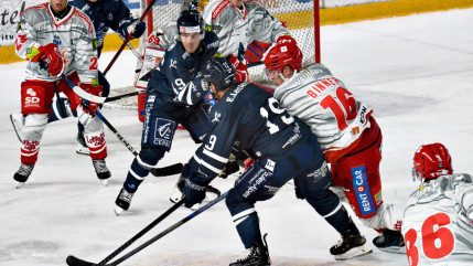 Cruelle défaite à domicile pour les Rapaces Cruelle défaite à domicile pour les Rapaces