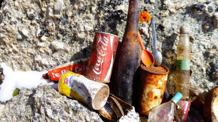 Des bénévoles espérés pour nettoyer le lac Rond à La Salle les Alpes