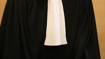 Epaul&eacute; par un t&eacute;nor du barreau de Lyon, le voleur qui s'en prenait aux vieilles dames &eacute;chappe &agrave; la prison ferme &agrave; Digne-les-Bains