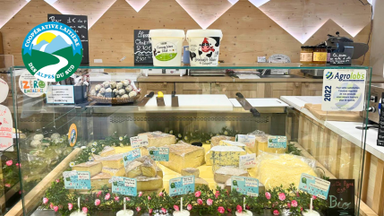 Goûtez l’authenticité des montagnes à deux pas de la gare de Montdauphin ! Goûtez l’authenticité des montagnes à deux pas de la gare de Montdauphin !