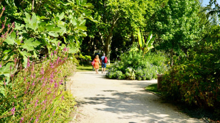 Gréoux les Bains décroche sa 4ème fleur !