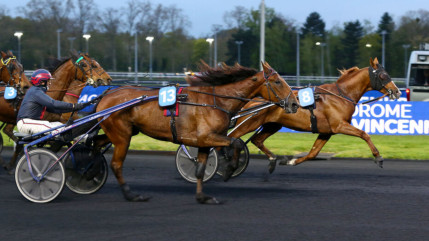 Haute-Provence : 181.454 euros remportés à Riez au Quinté +