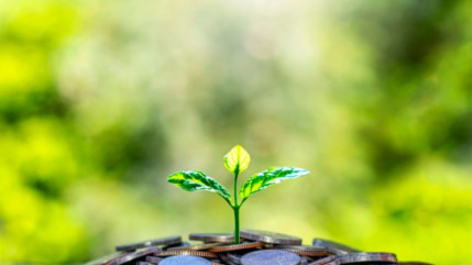 Haute-Provence : 27 dossiers déjà financés dans le cadre du Fonds Vert Haute-Provence : 27 dossiers déjà financés dans le cadre du Fonds Vert