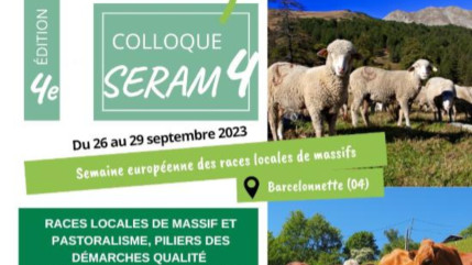 Haute-Provence : 4ème édition de la Semaine Européenne des Races de Massifs Haute-Provence : 4ème édition de la Semaine Européenne des Races de Massifs