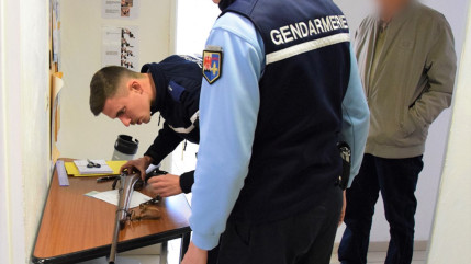 Haute-Provence : 772 armes abandonnées Haute-Provence : 772 armes abandonnées
