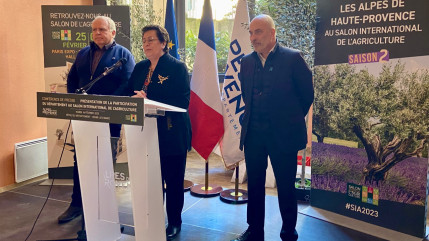 Haute-Provence : après 35 médailles en 2022, le département fera-t-il mieux en 2023 ?