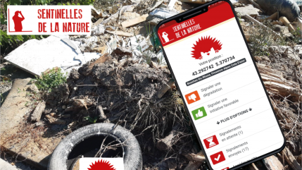 Haute-Provence : des « Sentinelles de la Nature » espérées cet été Haute-Provence : des « Sentinelles de la Nature » espérées cet été