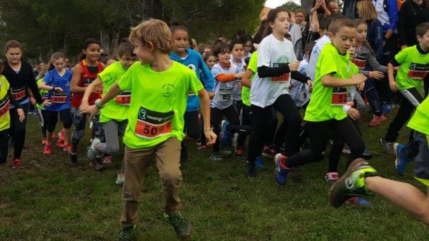 Haute-Provence : la Saintaubanaise fait son retour Haute-Provence : la Saintaubanaise fait son retour