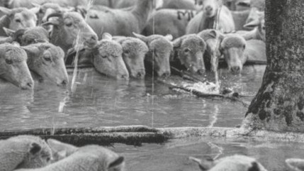 Haute-Provence : le territoire au cœur d’un numéro spécial de la revue l’Alpe