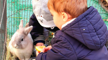 Haute-Provence : le torchon brûle entre la Colline des Lutins et la mairie du Vernet