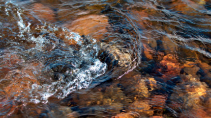 Haute-Provence : les assises de l’eau, une « simple étape » pour FNE 04 Haute-Provence : les assises de l’eau, une « simple étape » pour FNE 04