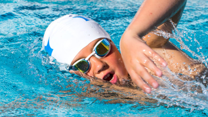 Haute-Provence : les écoliers de Sisteron bientôt comme des poissons dans l’eau Haute-Provence : les écoliers de Sisteron bientôt comme des poissons dans l’eau