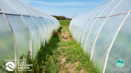 Haute-Provence : les films plastiques de maraichage désormais valorisés sur la CCAPV Haute-Provence : les films plastiques de maraichage désormais valorisés sur la CCAPV