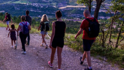 Haute-Provence : les forêts des Baronnies Provençales se découvrent le temps d’une nuit