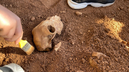 Haute-Provence : les musées du Département vous invitent à pousser leurs portes Haute-Provence : les musées du Département vous invitent à pousser leurs portes